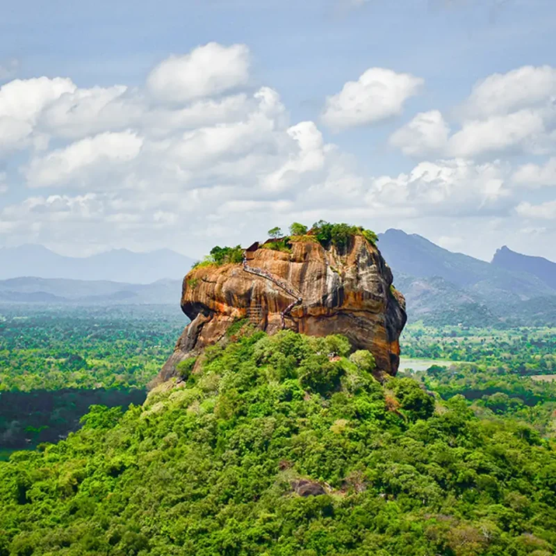 pexels-harsha-samaranayake-303340503-13391116-Header_Mobile