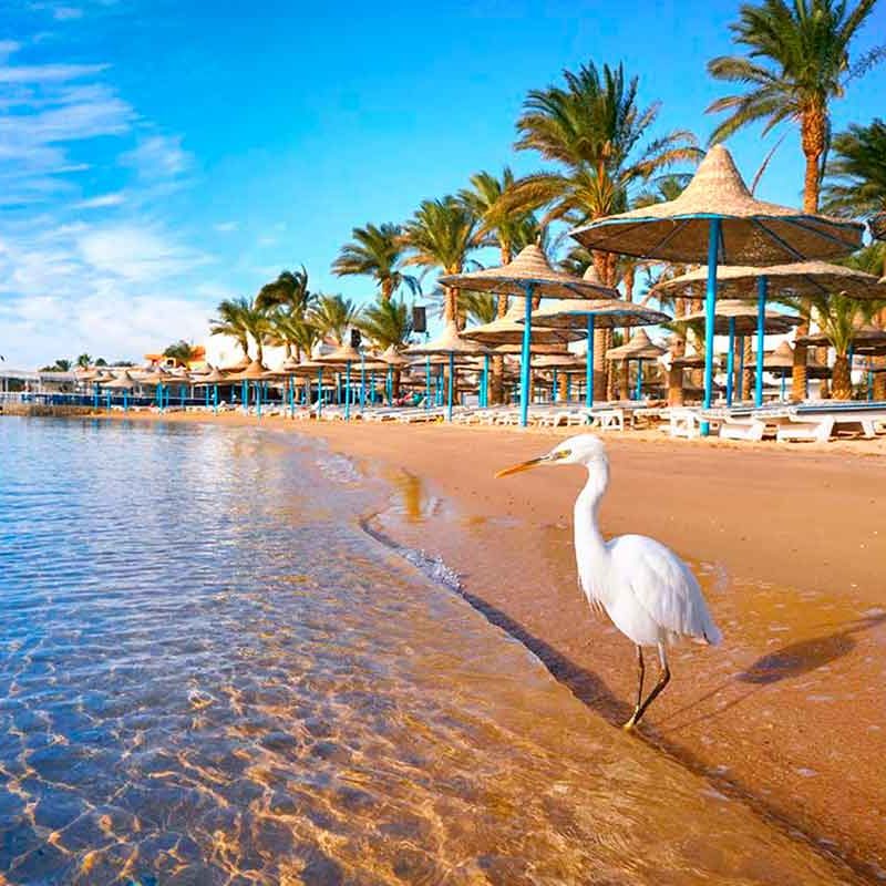 playas-de-hurghada
